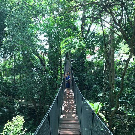 Doi Tung Tree Top Walk